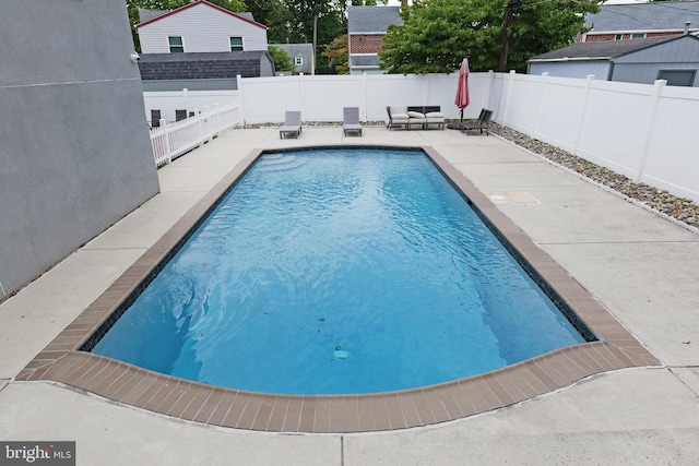 view of swimming pool with a patio