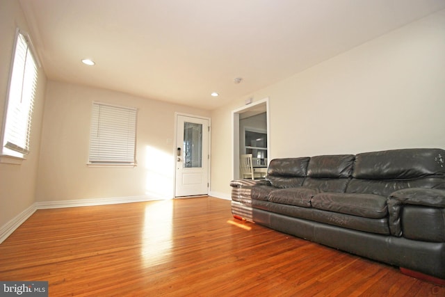 living room with hardwood / wood-style floors