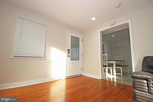 entryway featuring wood-type flooring