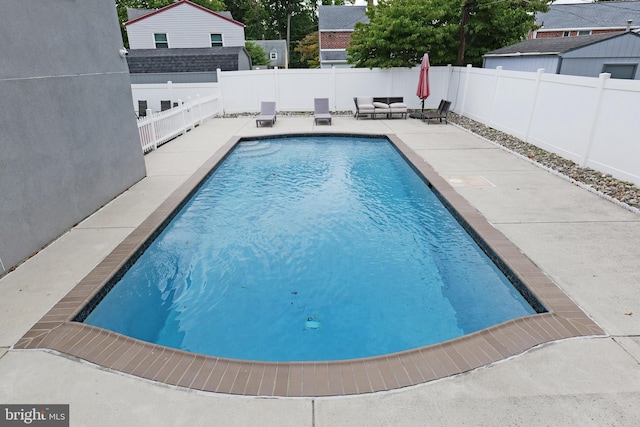 view of pool with a patio