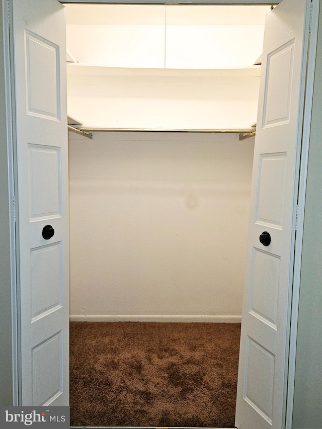 view of closet