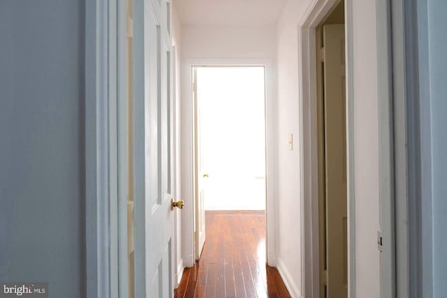 corridor with dark hardwood / wood-style floors