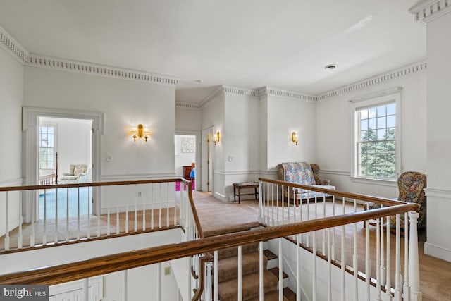 stairs with carpet flooring and crown molding