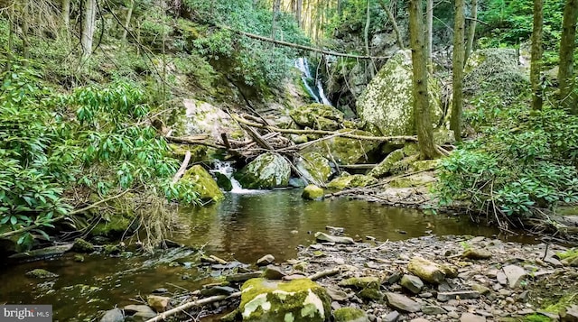 view of local wilderness