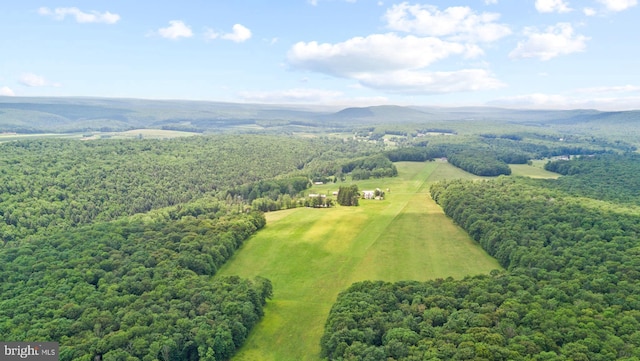 bird's eye view featuring a mountain view