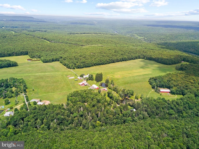 aerial view