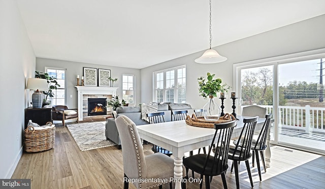 dining area with a wealth of natural light and light wood-type flooring