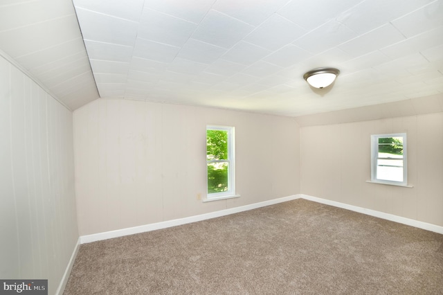 carpeted spare room with a healthy amount of sunlight and lofted ceiling