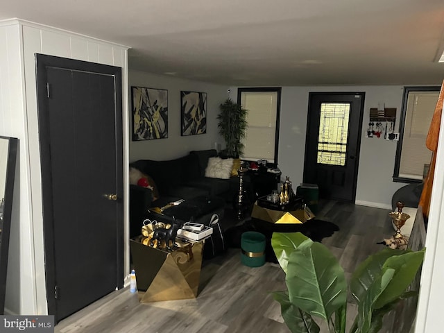 living room featuring hardwood / wood-style flooring