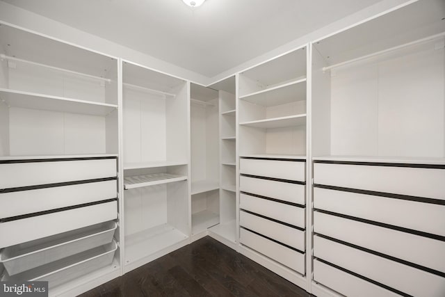 spacious closet featuring dark wood-style flooring