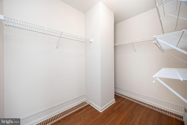 walk in closet featuring dark hardwood / wood-style floors