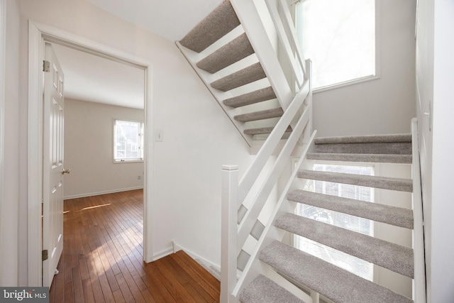 staircase with hardwood / wood-style flooring