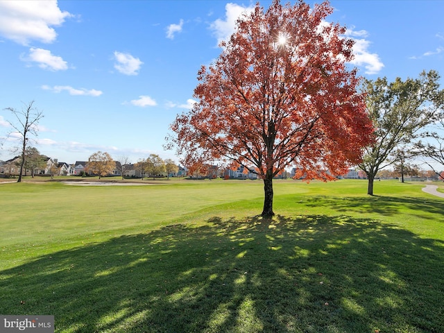 surrounding community with a yard