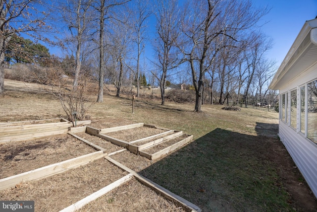 view of yard with a garden