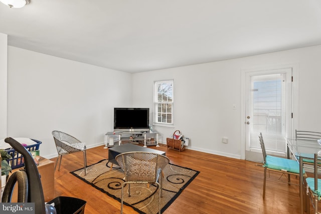 living room with wood-type flooring