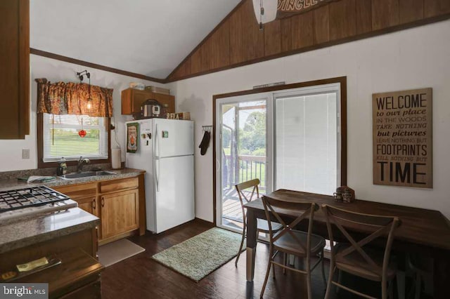 kitchen with dark hardwood / wood-style flooring, white refrigerator, high vaulted ceiling, and sink