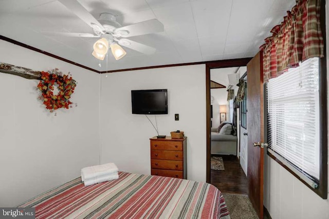 bedroom with ceiling fan, dark hardwood / wood-style flooring, and crown molding