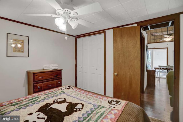 bedroom featuring ceiling fan, dark hardwood / wood-style flooring, crown molding, and a closet