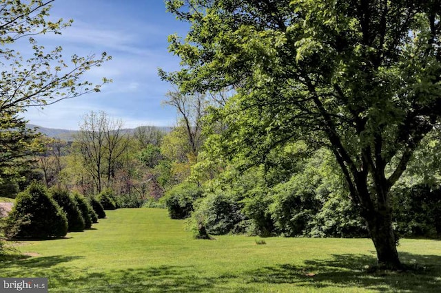 view of community featuring a lawn