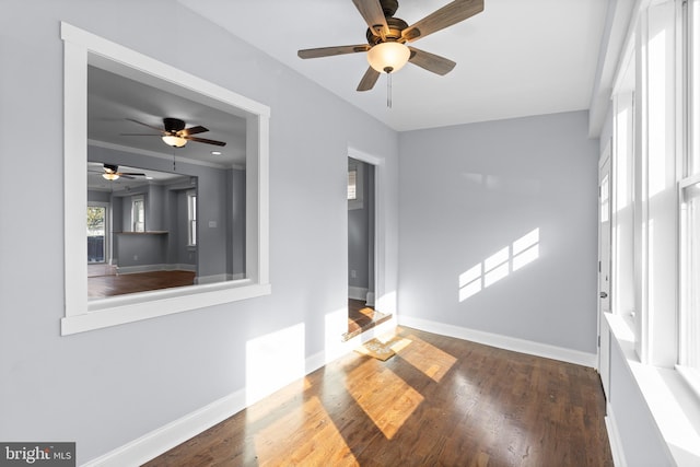 empty room with dark hardwood / wood-style flooring