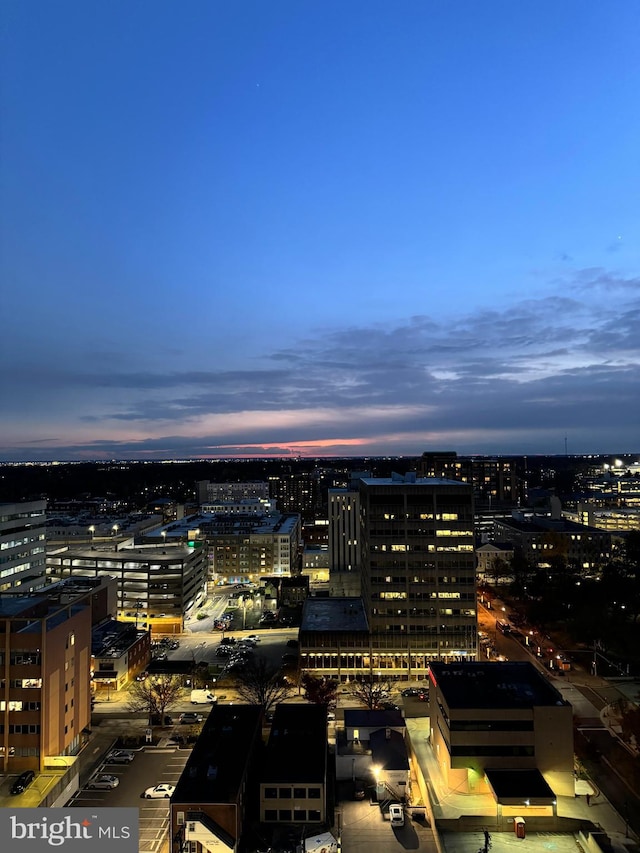 property's view of city