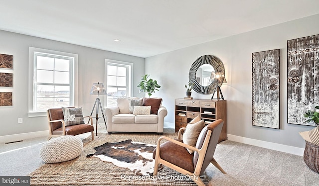 sitting room featuring light carpet