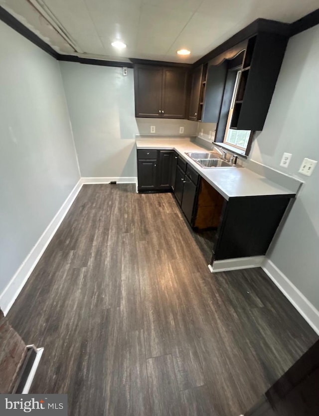 kitchen featuring dark brown cabinetry, dark wood-type flooring, and sink