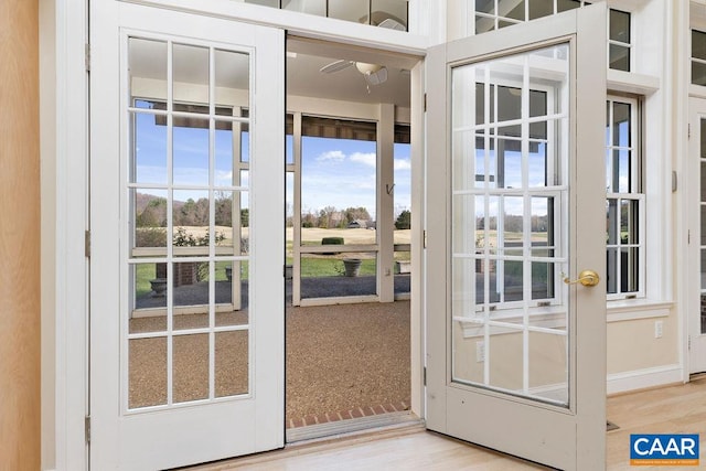 entryway with wood-type flooring