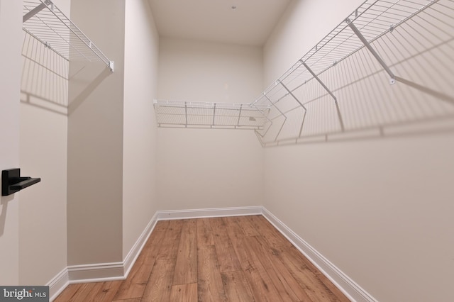 walk in closet featuring wood-type flooring