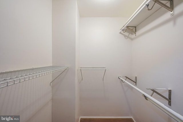 spacious closet featuring wood-type flooring