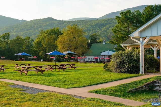 view of community featuring a mountain view and a yard