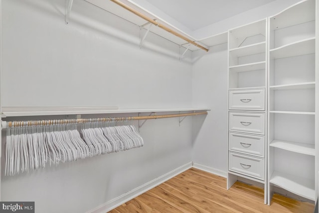 walk in closet featuring light wood-type flooring