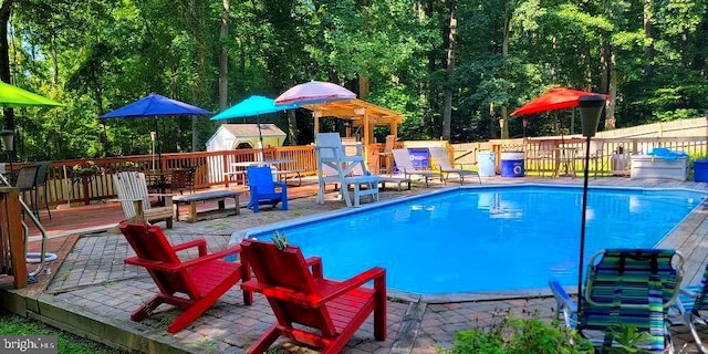 view of pool with a wooden deck and a patio area