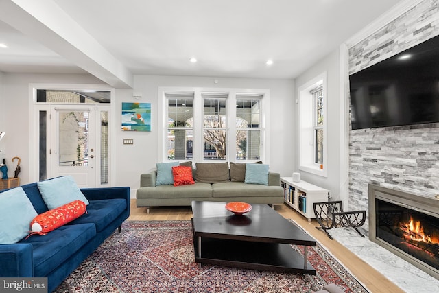 living room featuring wood-type flooring and a fireplace