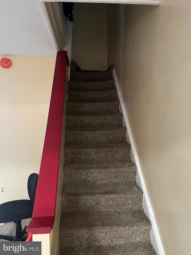 stairs with carpet flooring