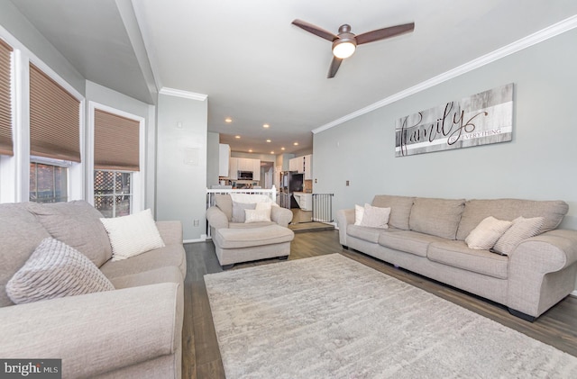 living room featuring ceiling fan, crown molding, and dark wood-type flooring