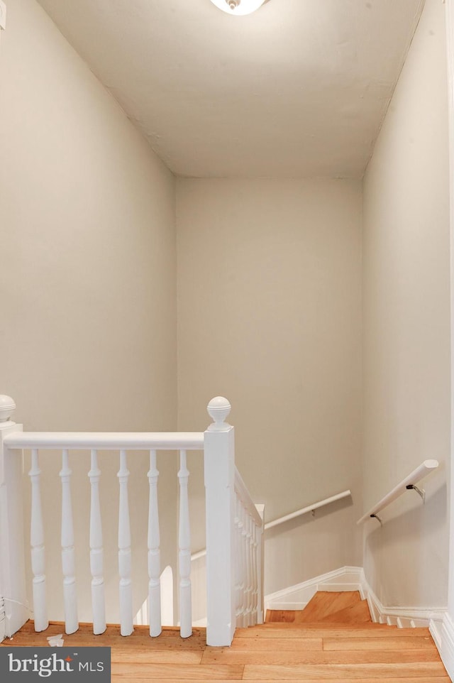 staircase featuring wood-type flooring