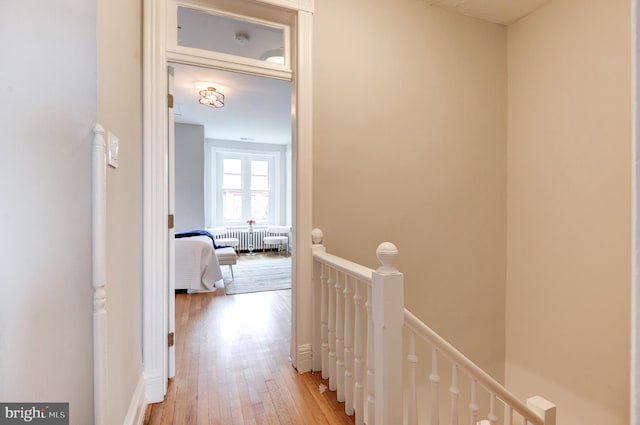 hall featuring light hardwood / wood-style floors and radiator