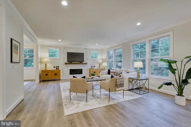 living room featuring light hardwood / wood-style floors, a fireplace, and a wealth of natural light