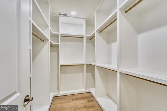 walk in closet featuring light hardwood / wood-style flooring