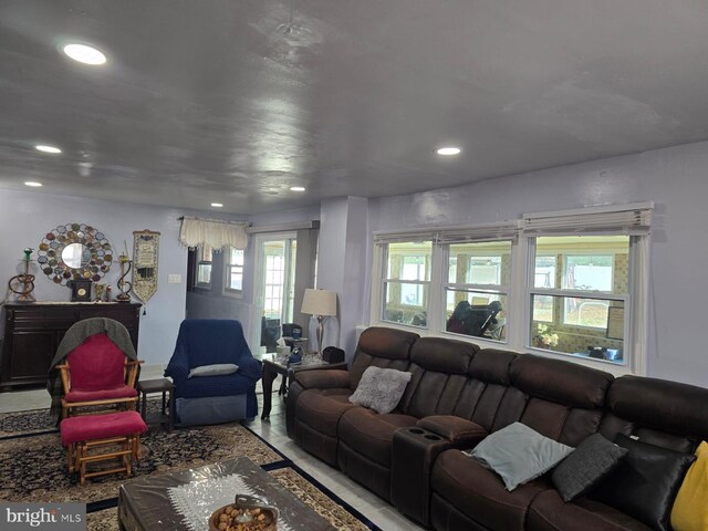 living room with a wealth of natural light