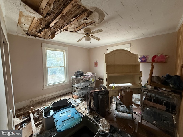 misc room featuring ceiling fan and ornamental molding