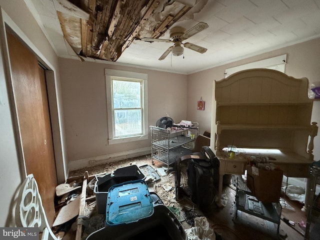 misc room with ceiling fan and crown molding