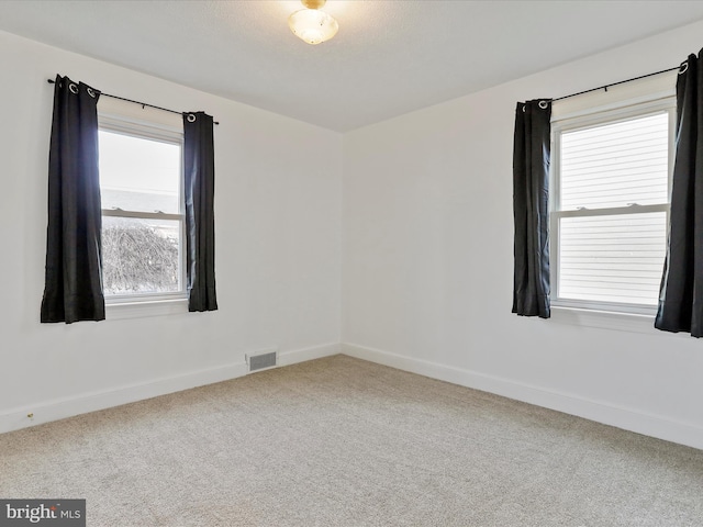 spare room featuring carpet flooring and a wealth of natural light