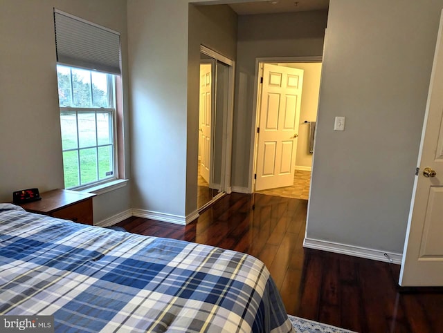 bedroom featuring dark hardwood / wood-style floors and a closet