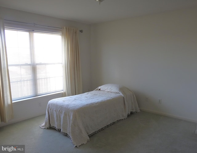 bedroom with carpet