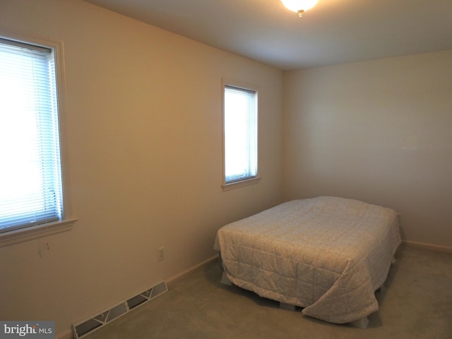 bedroom featuring multiple windows and carpet