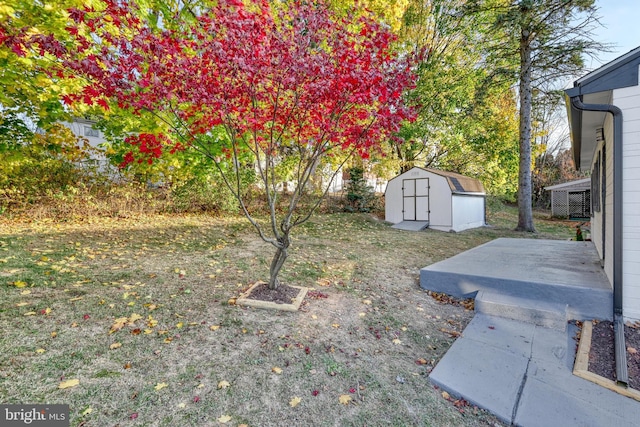 view of yard featuring a storage unit