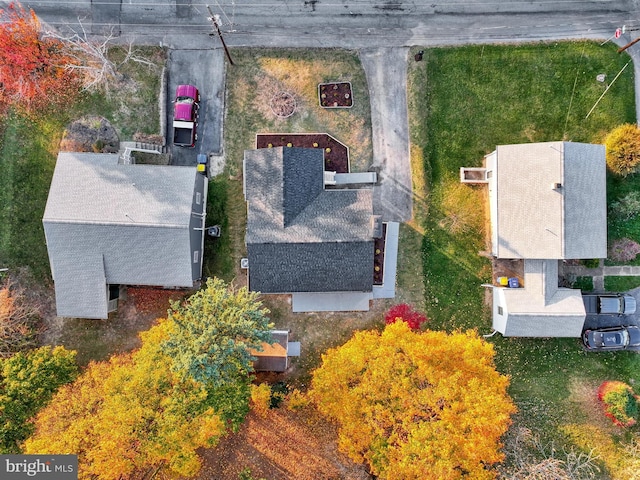 bird's eye view