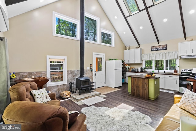 living room with high vaulted ceiling, a wood stove, plenty of natural light, and dark wood-type flooring